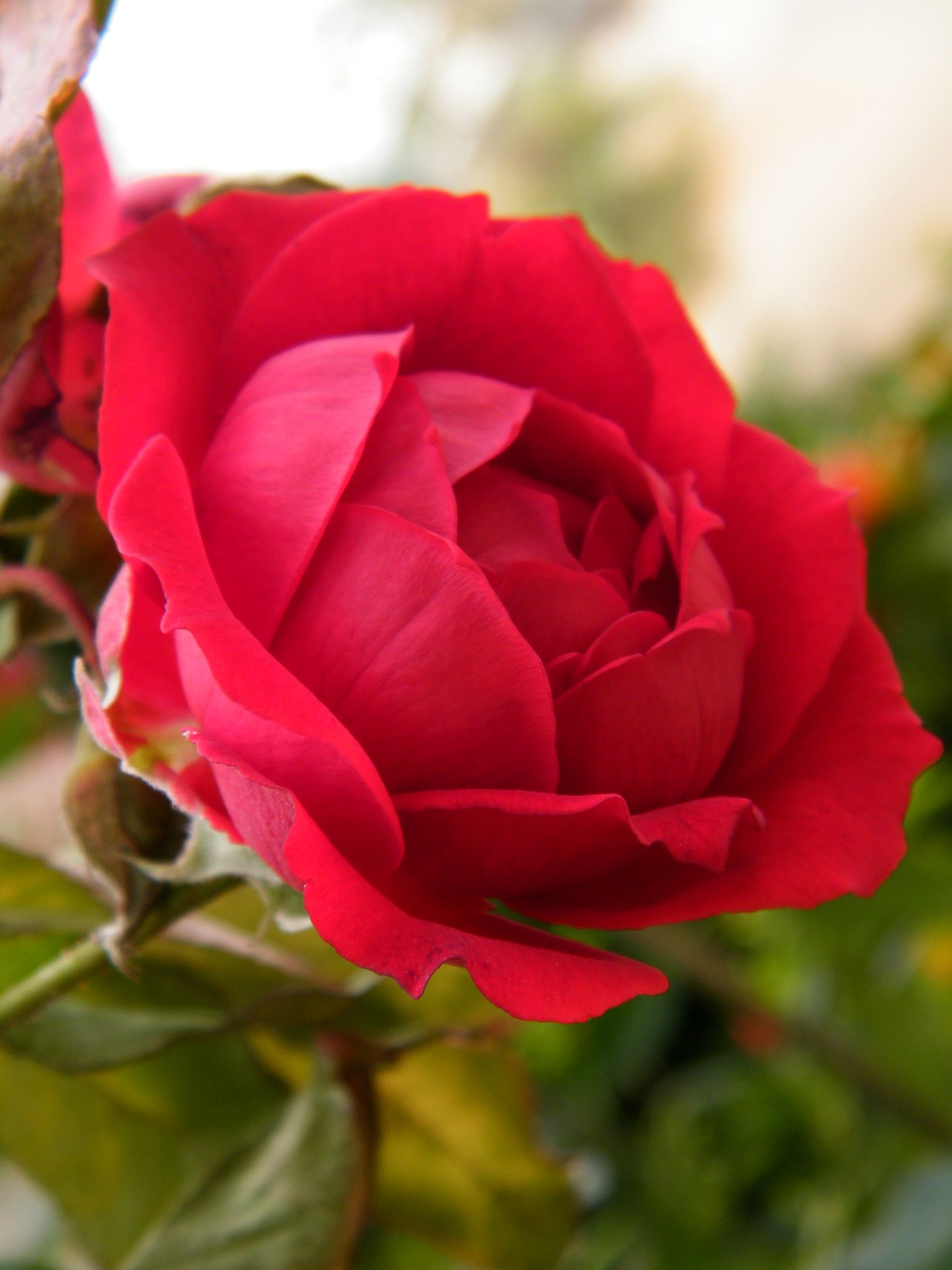 DSCF2991.JPG