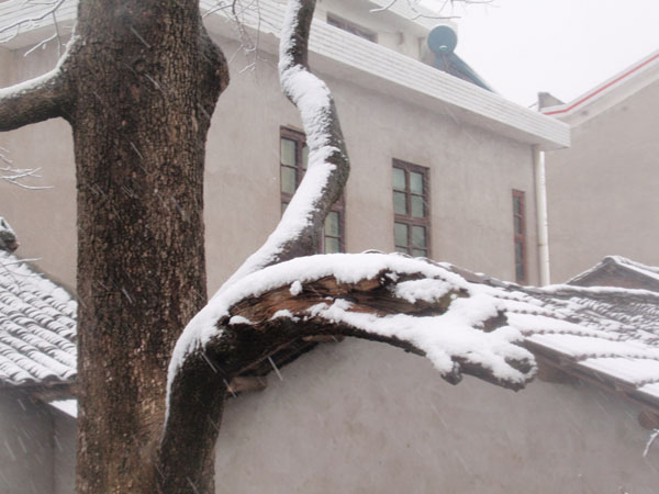 P1210007.JPG
