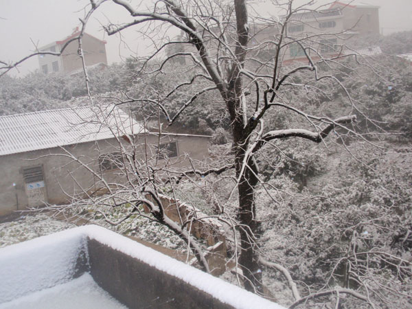 P1210014.JPG