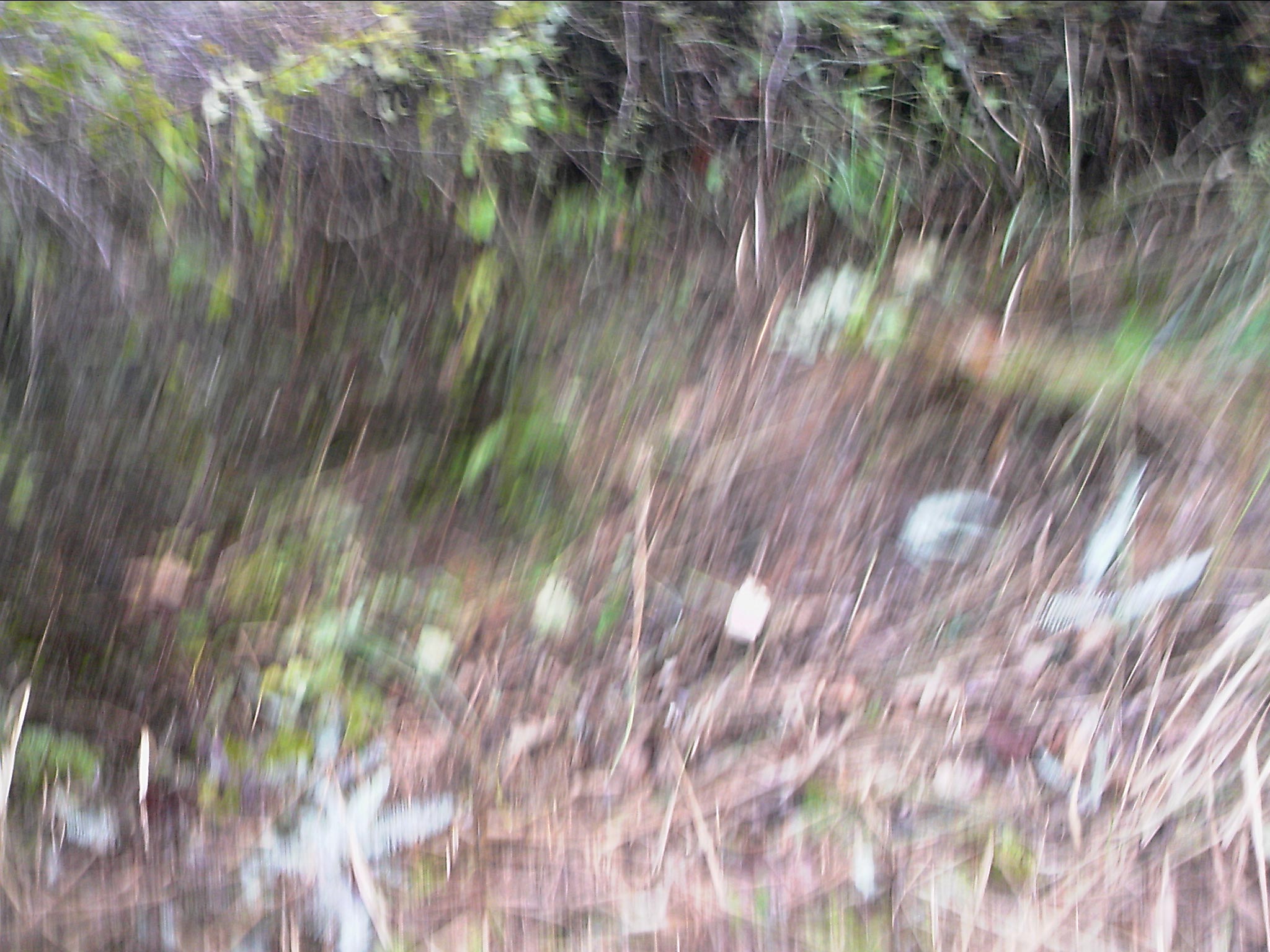 120127A046.jpg