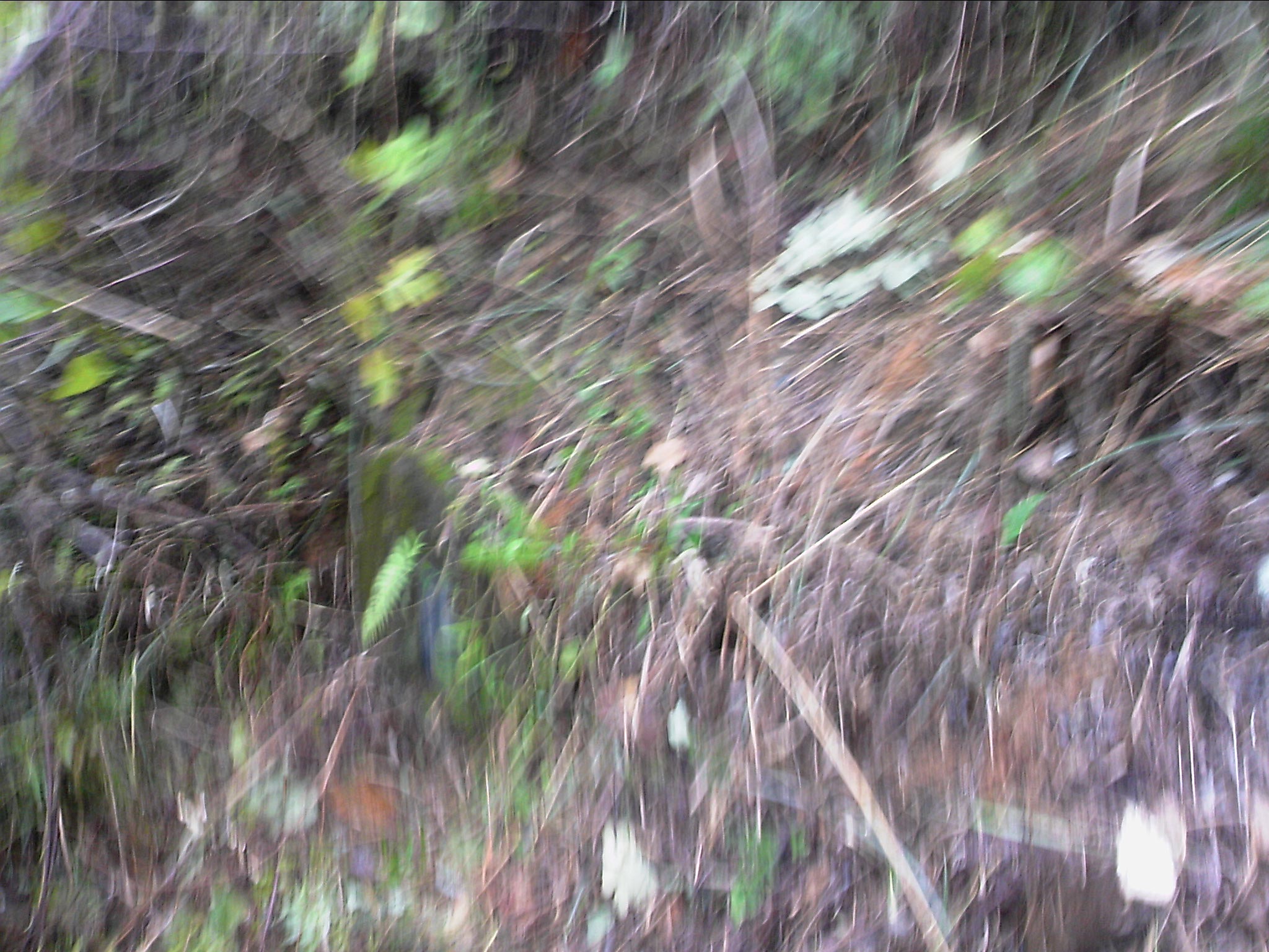120127A047.jpg