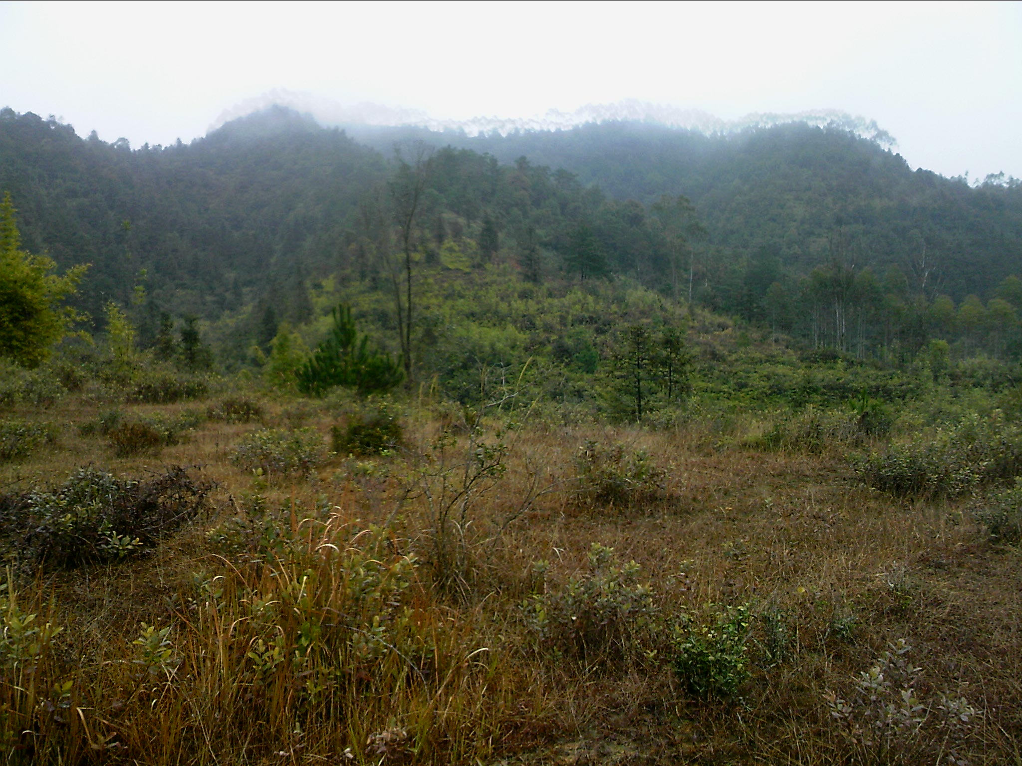 120127A048.jpg