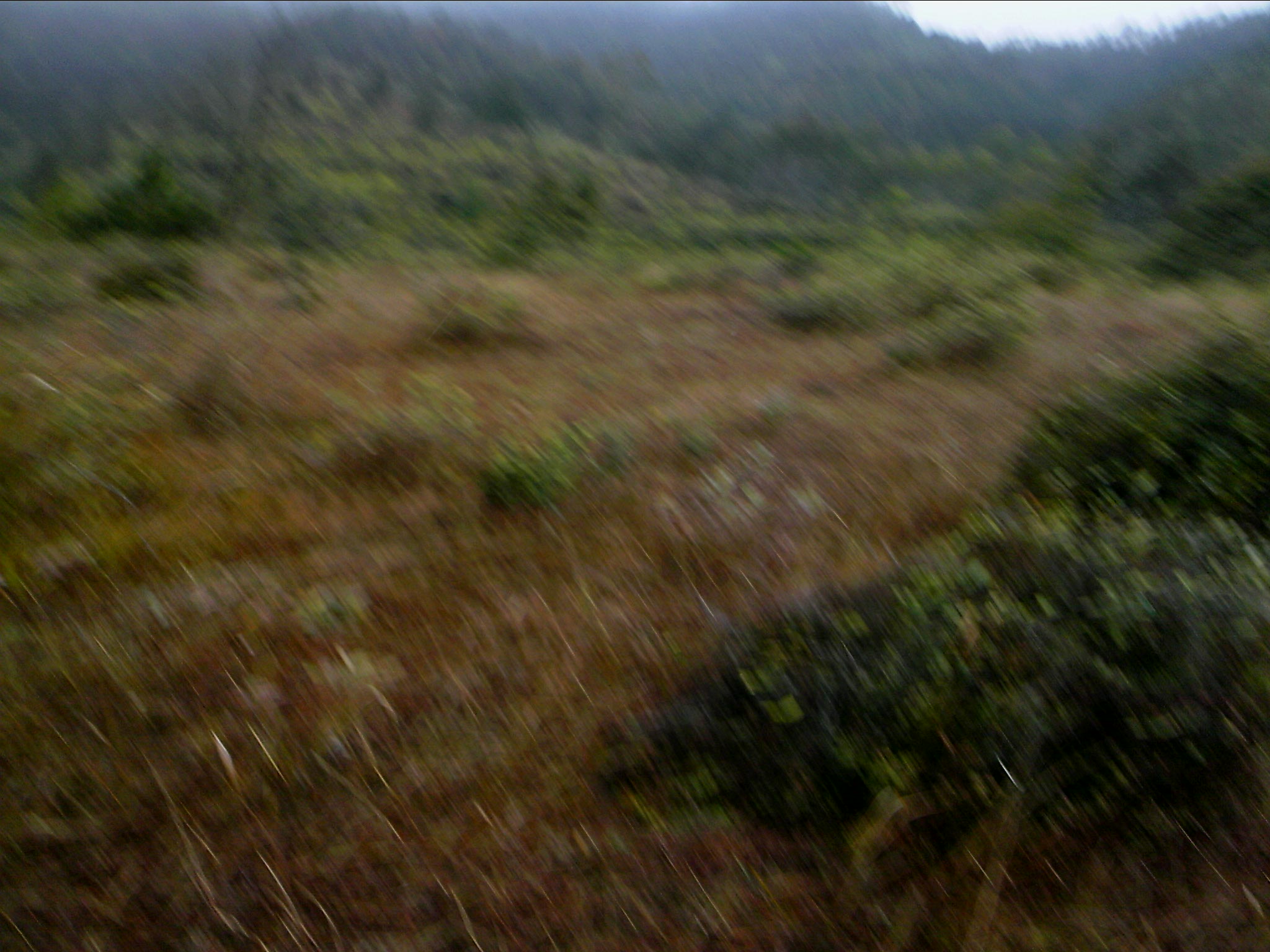 120127A049.jpg
