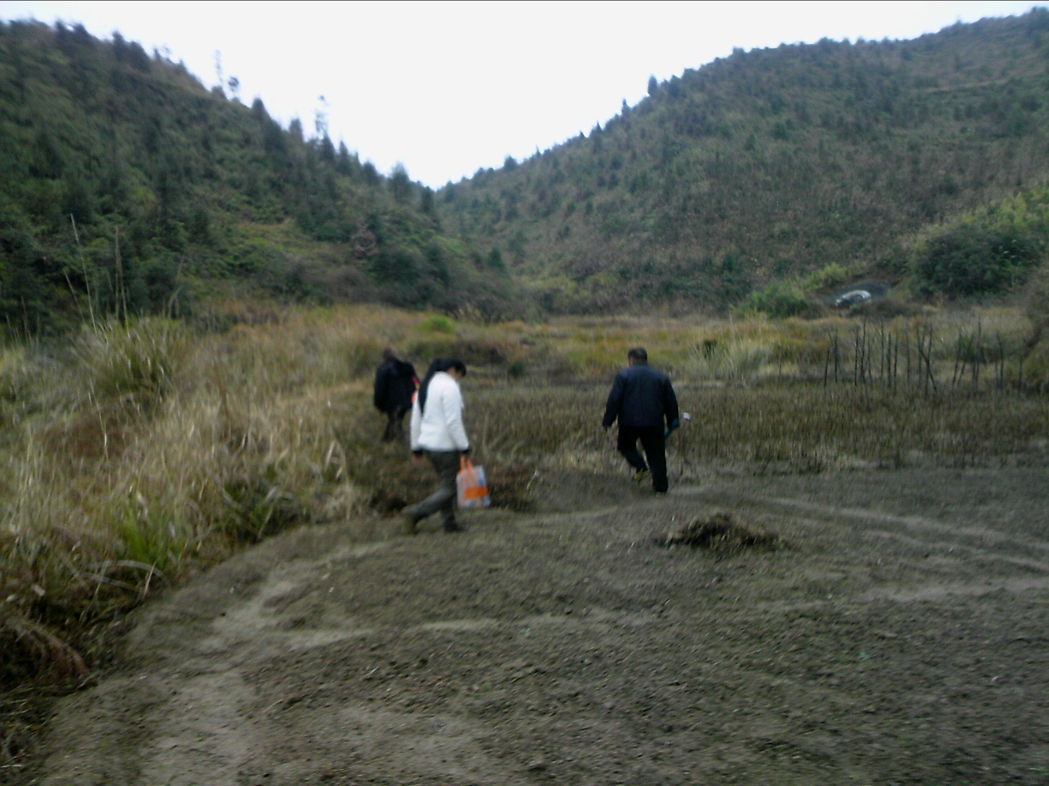 120127A050.jpg