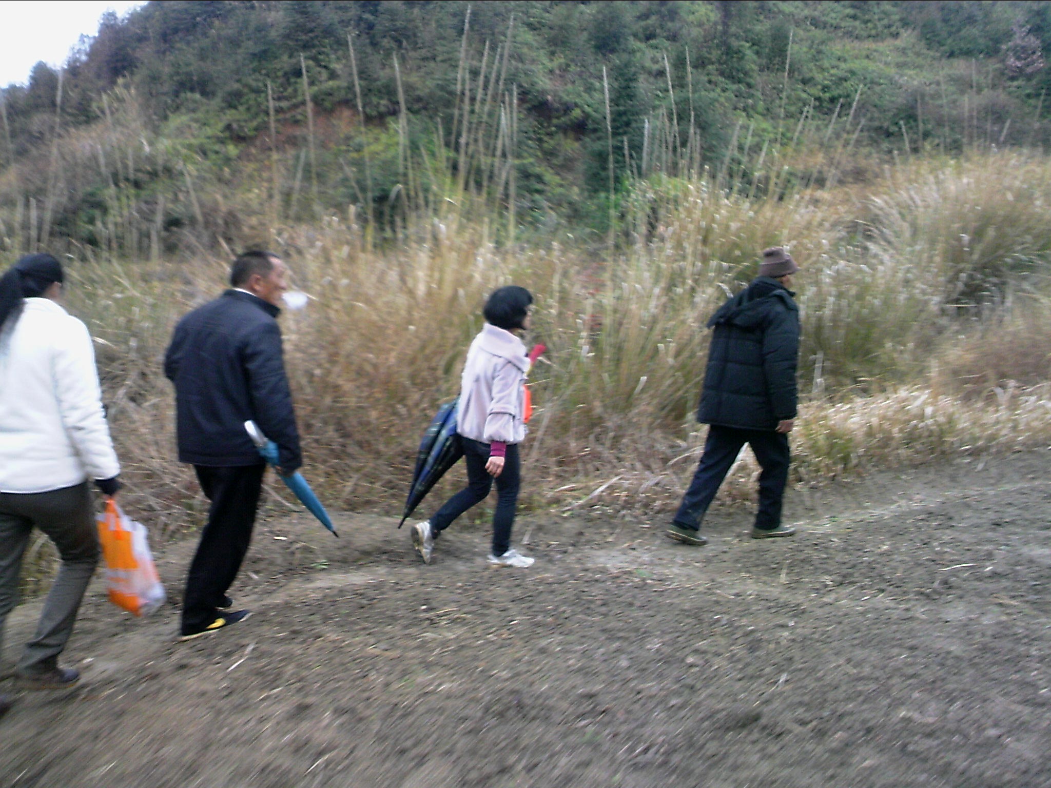 120127A052.jpg