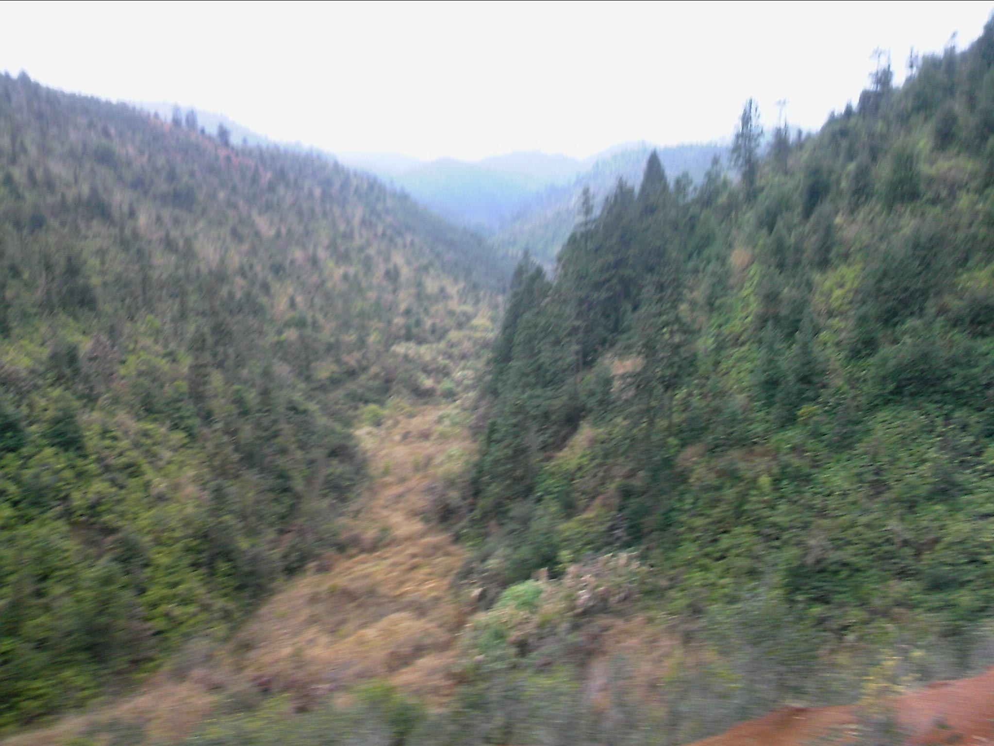 120127A064.jpg
