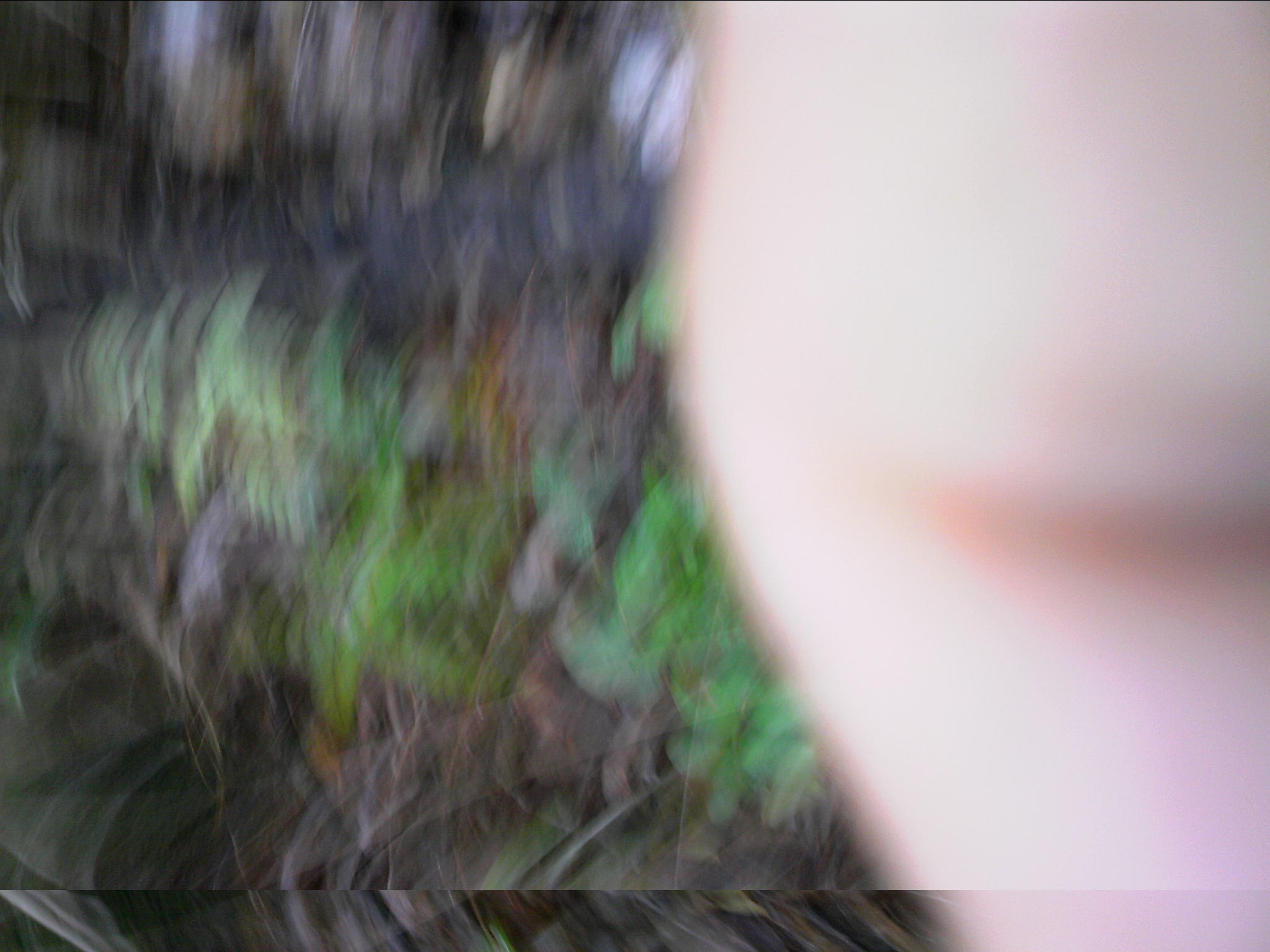 120127A065.jpg
