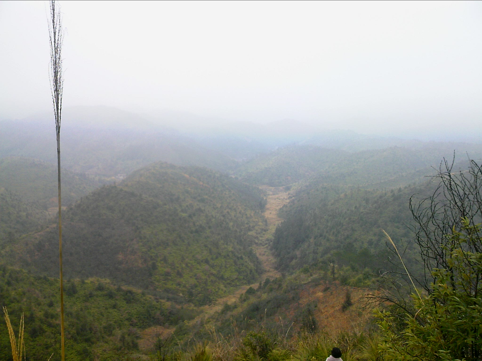 120127A067.jpg