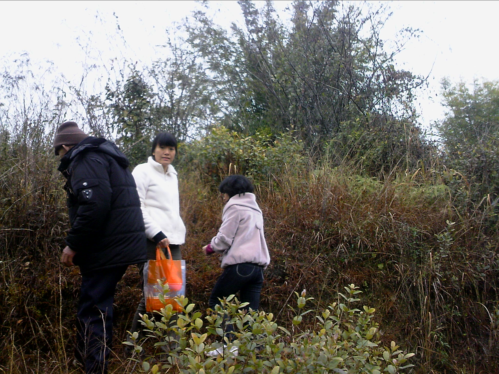 120127A007.jpg