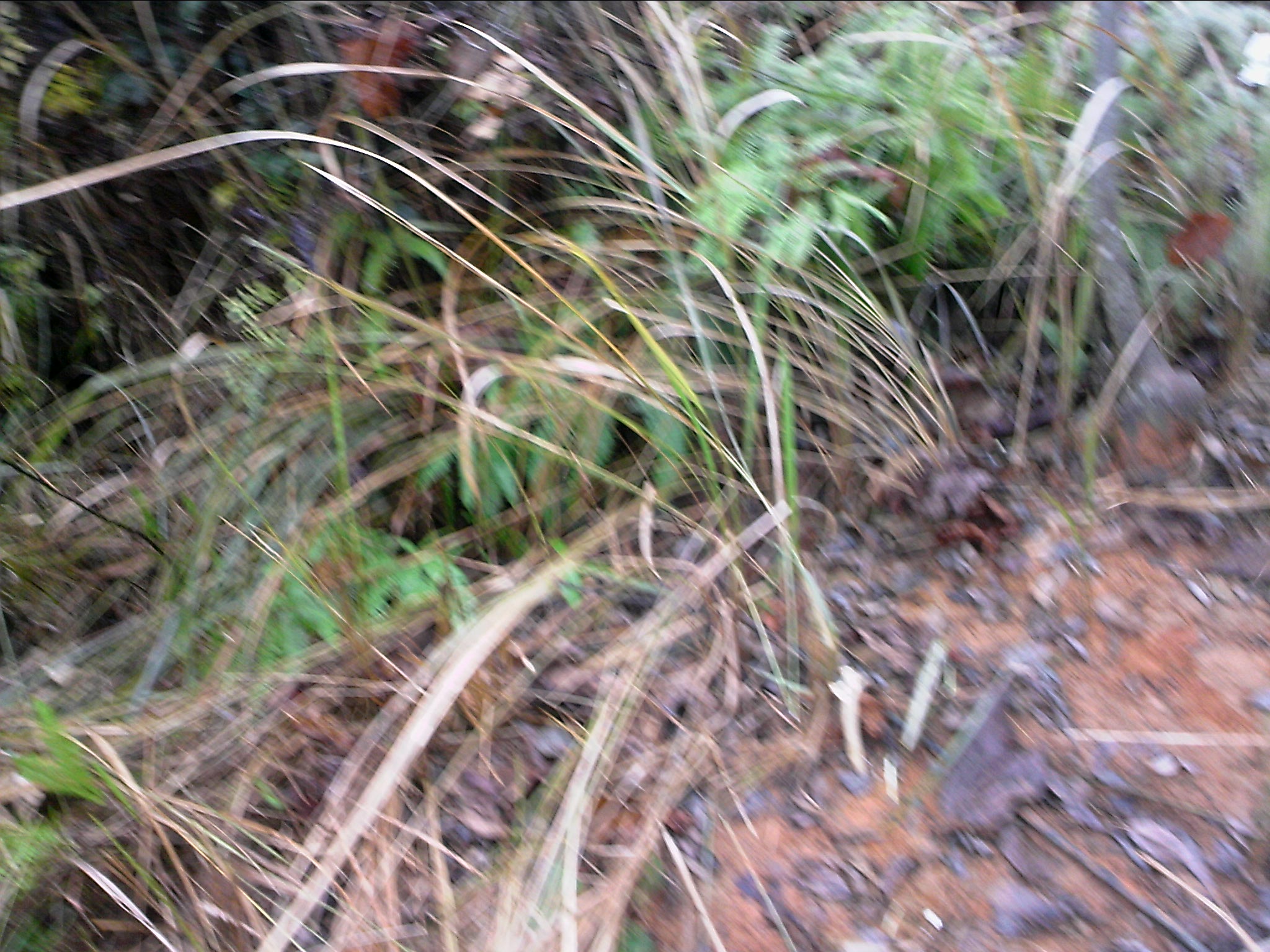 120127A031.jpg