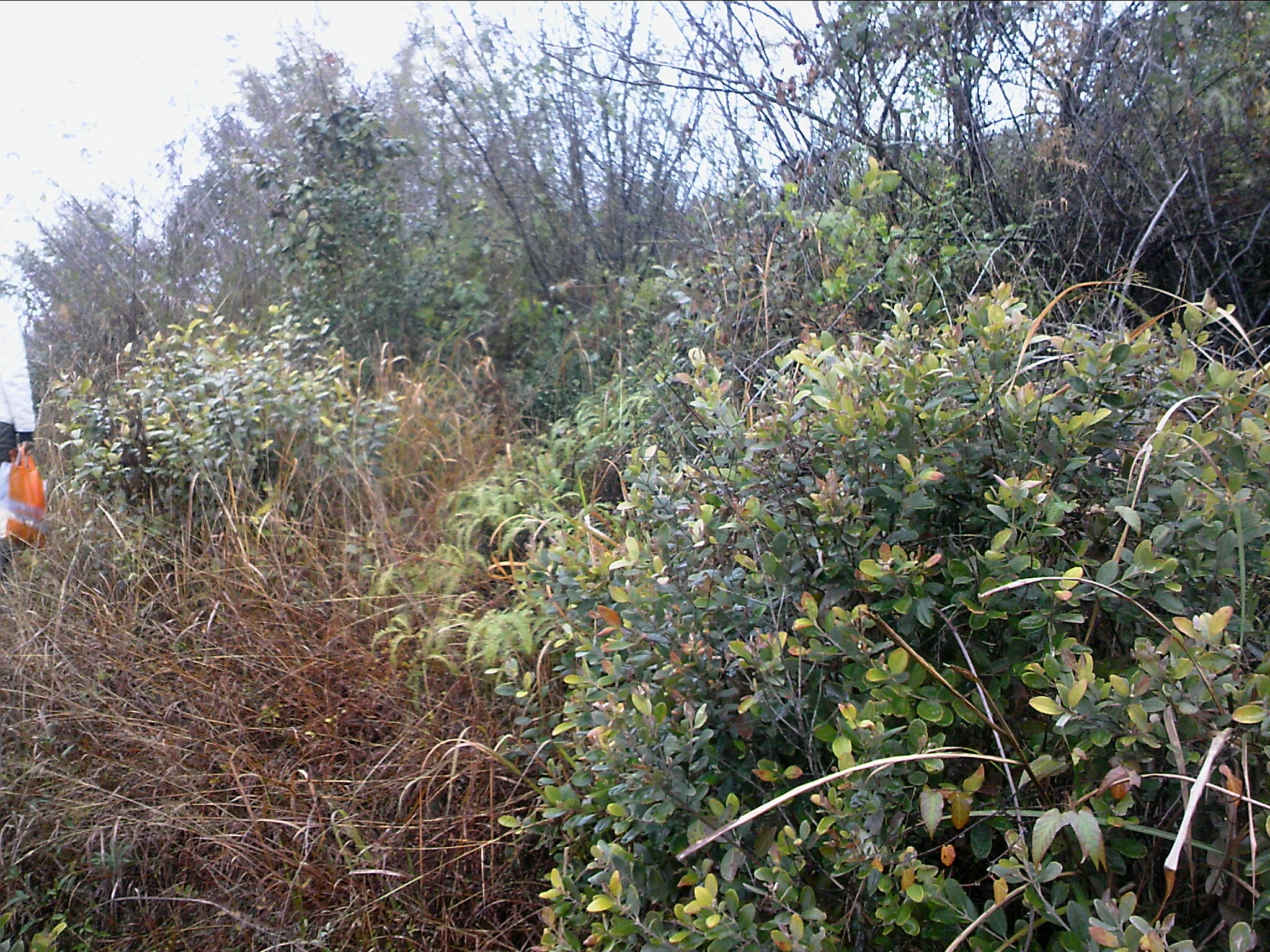 120127A008.jpg