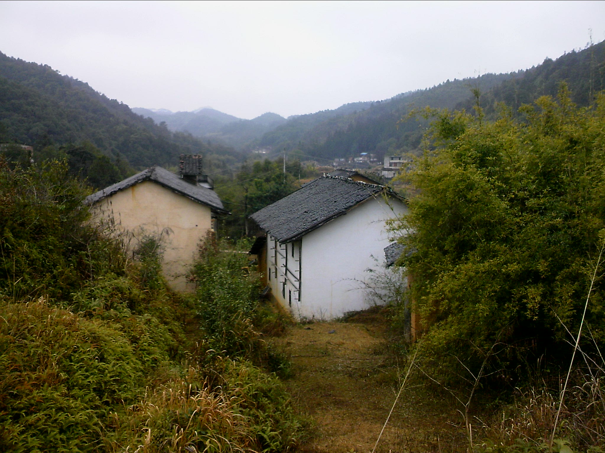 120127A026.jpg