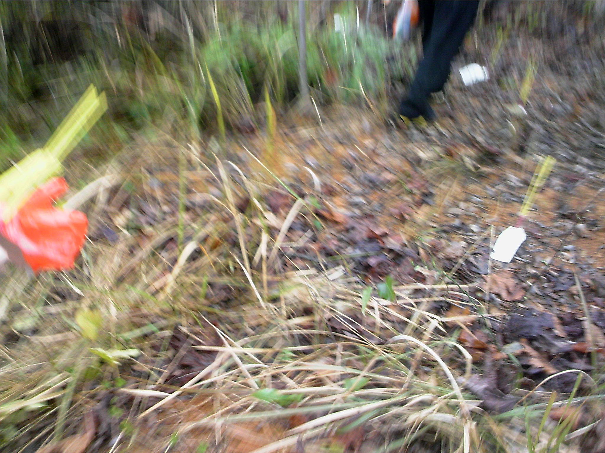 120127A034.jpg