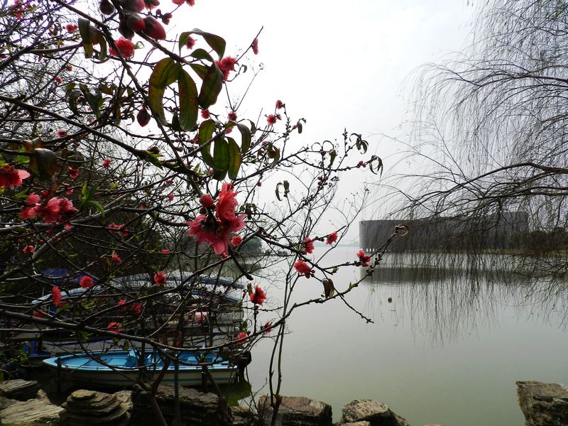 DSCN1393.jpg