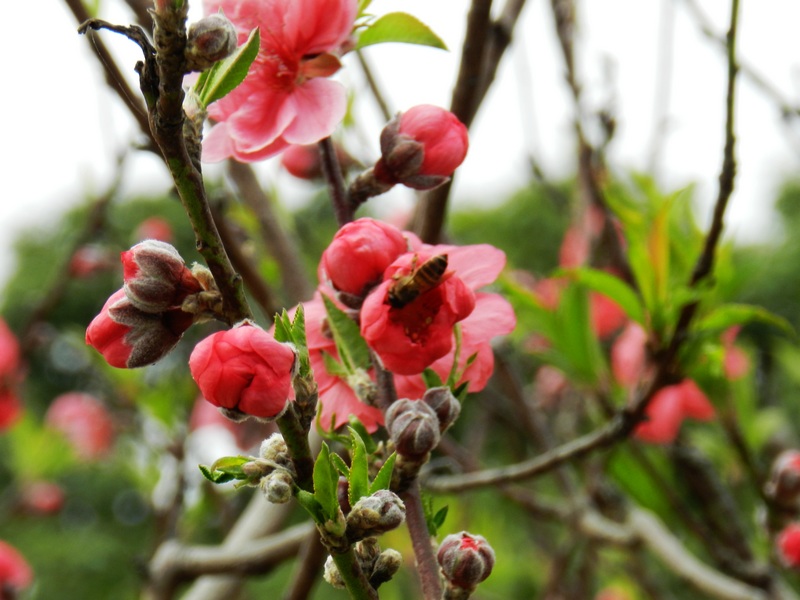 DSCN1609.jpg
