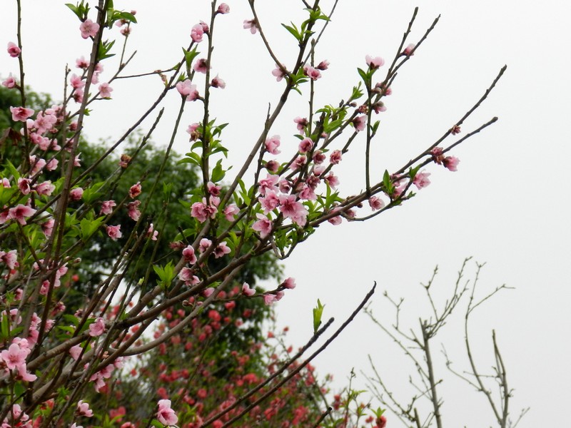DSCN1618.jpg
