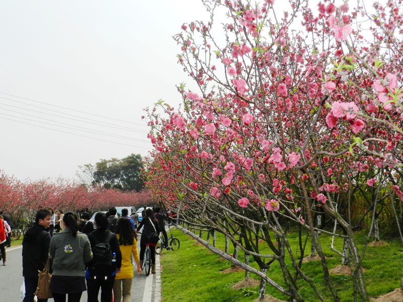 DSCN1488.jpg