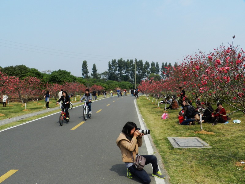 DSCN1482.jpg