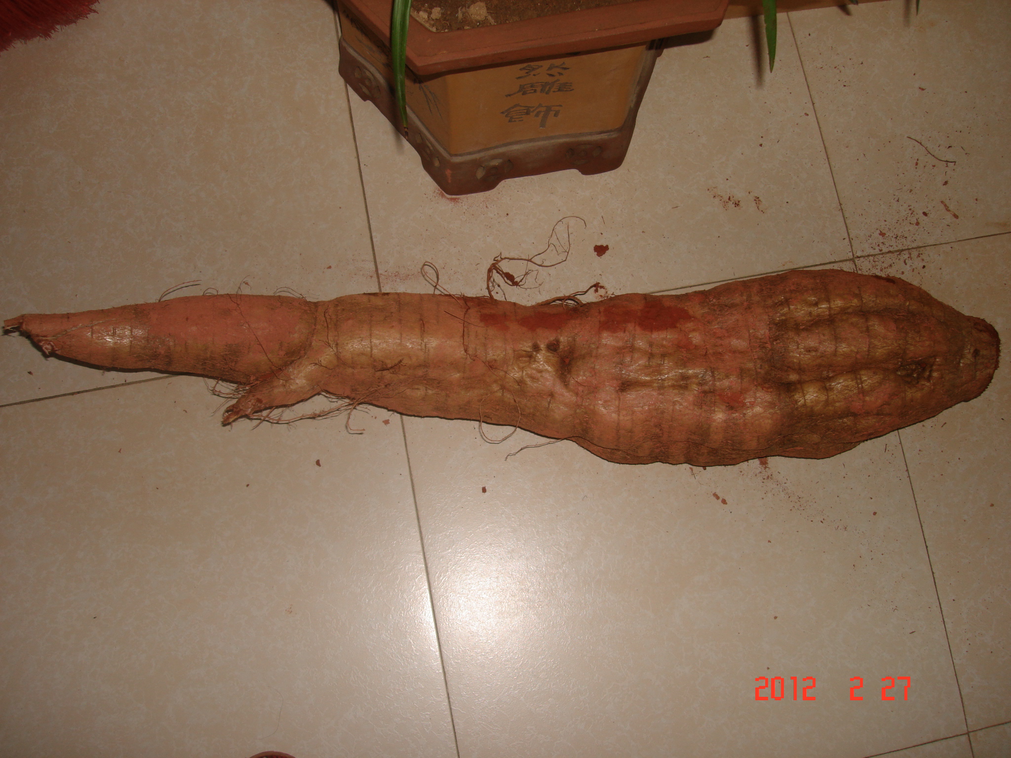 DSC09284.JPG