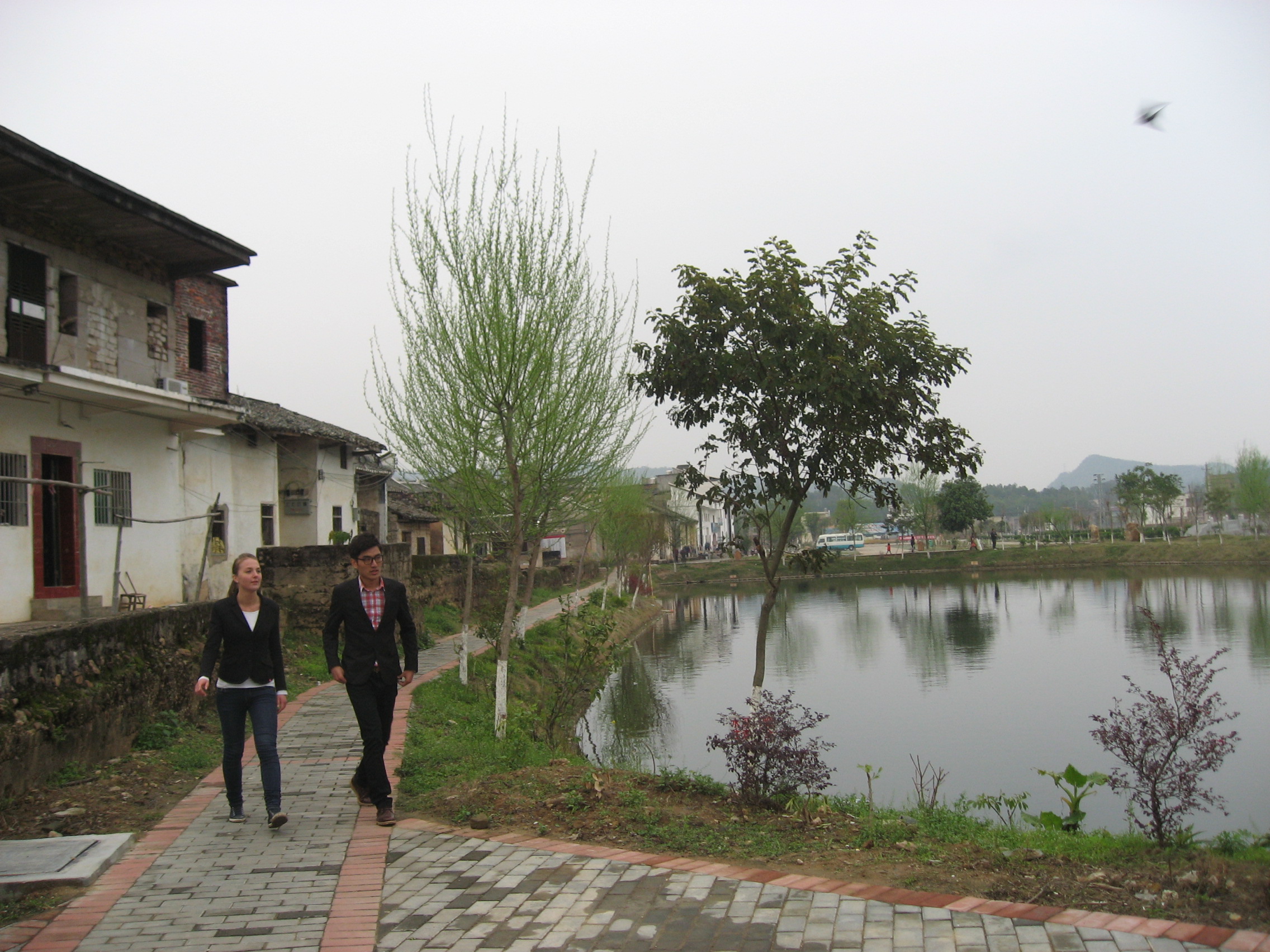 IMG_8468.jpg