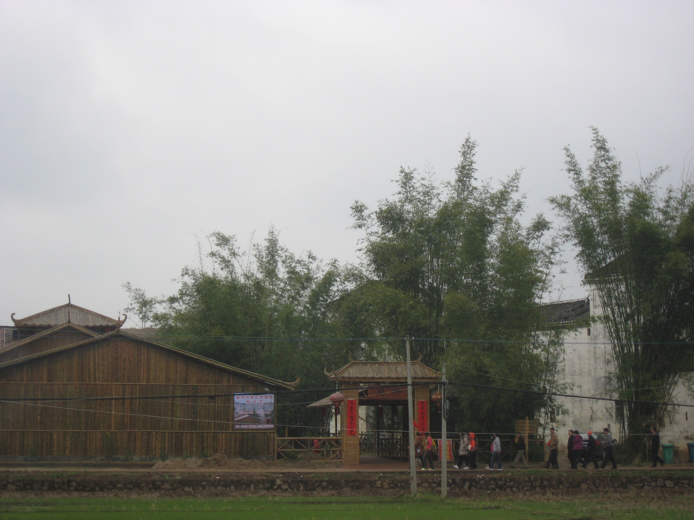 IMG_8257.jpg