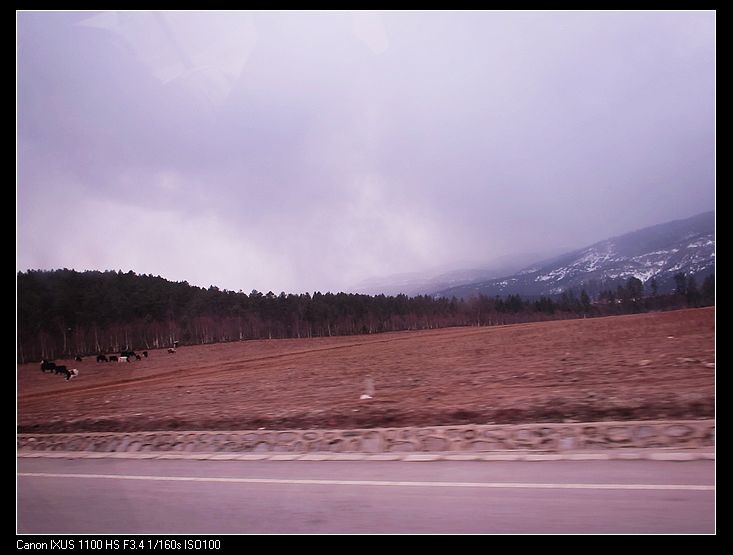 nEO_IMG_IMG_1179.jpg