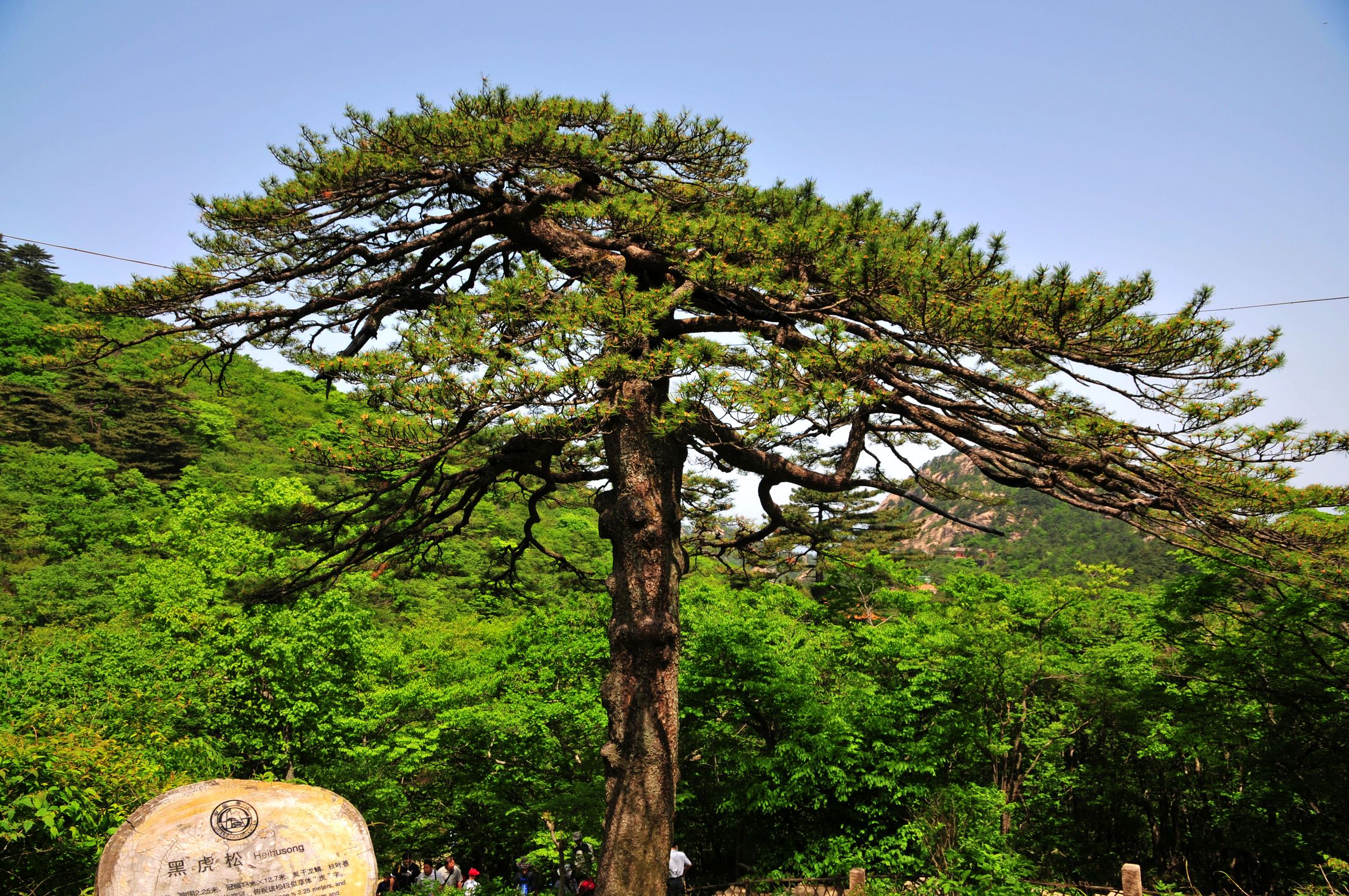 ZZM_5774.jpg