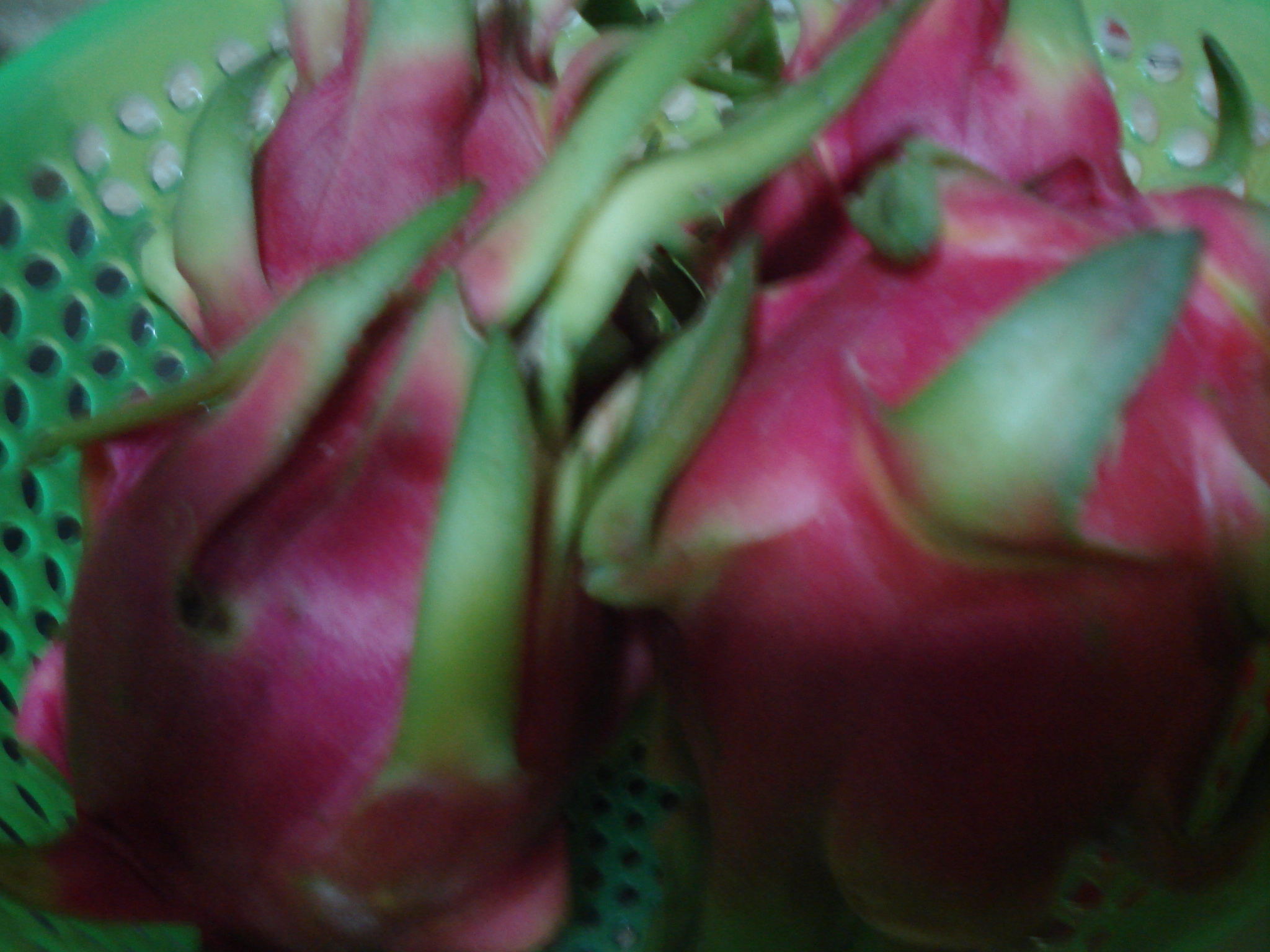 DSC07050.JPG