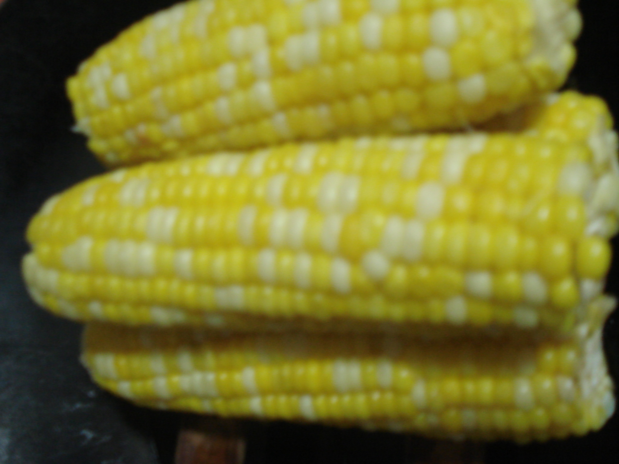 DSC07058.JPG