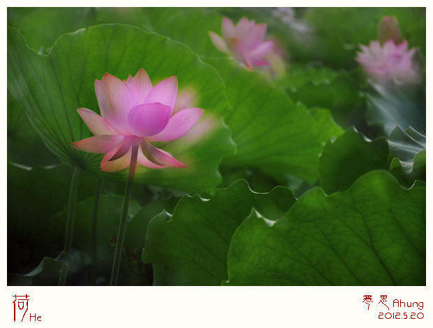 DSC_2459--sc.jpg