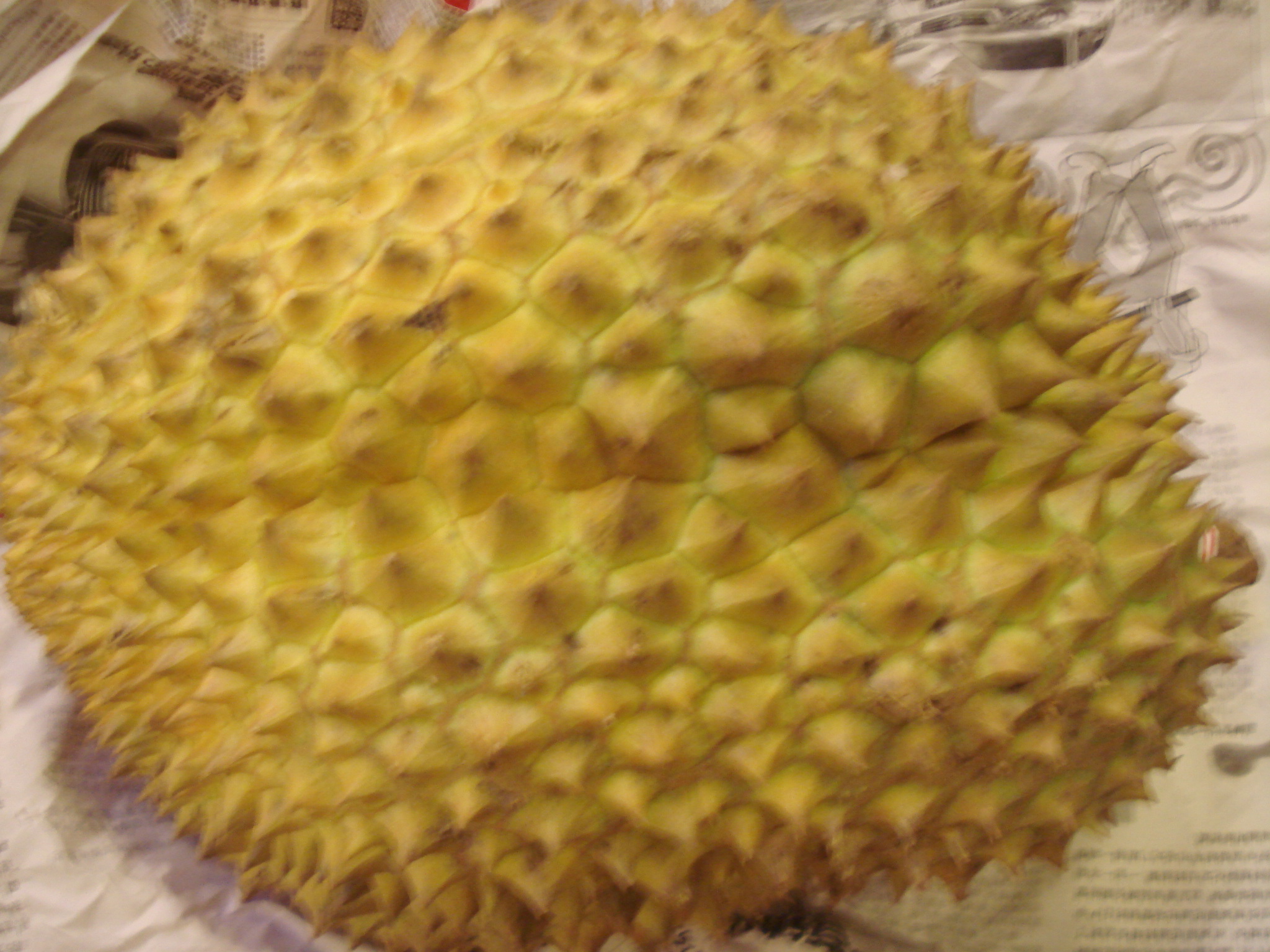 DSC07141.JPG