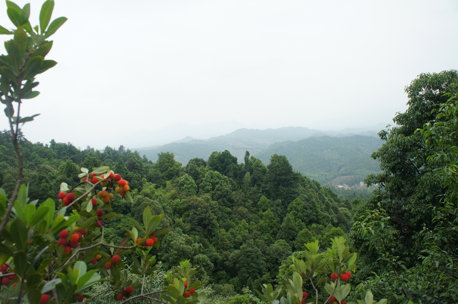 nEO_IMG_DSC01659.jpg