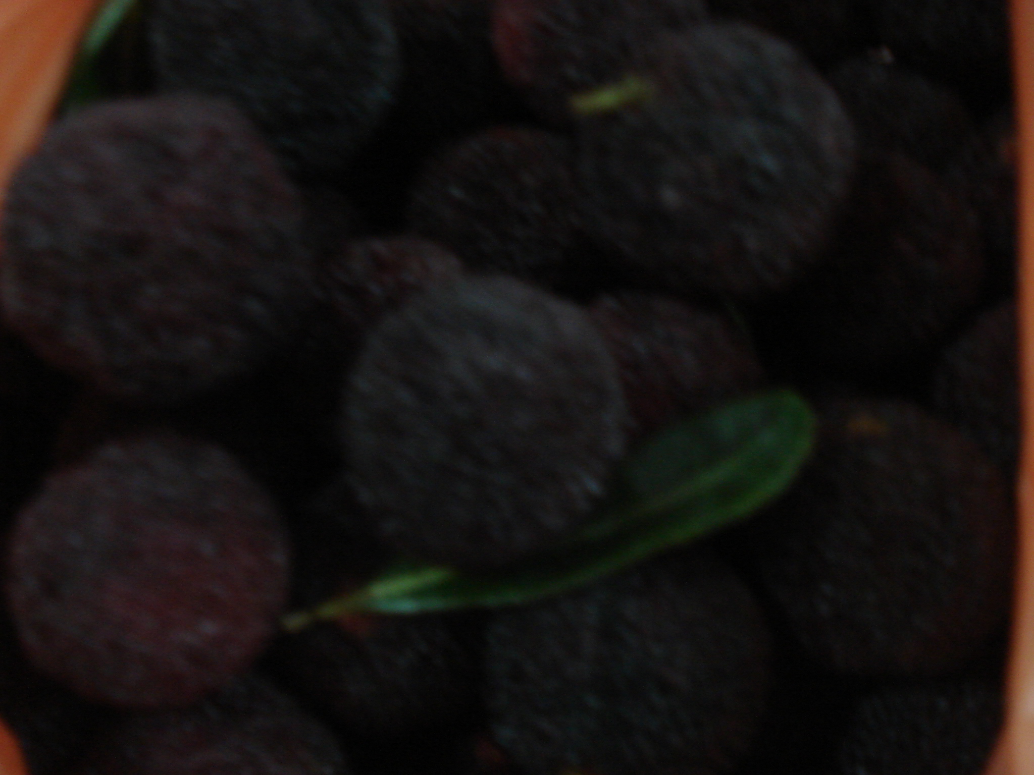 DSC07157.JPG