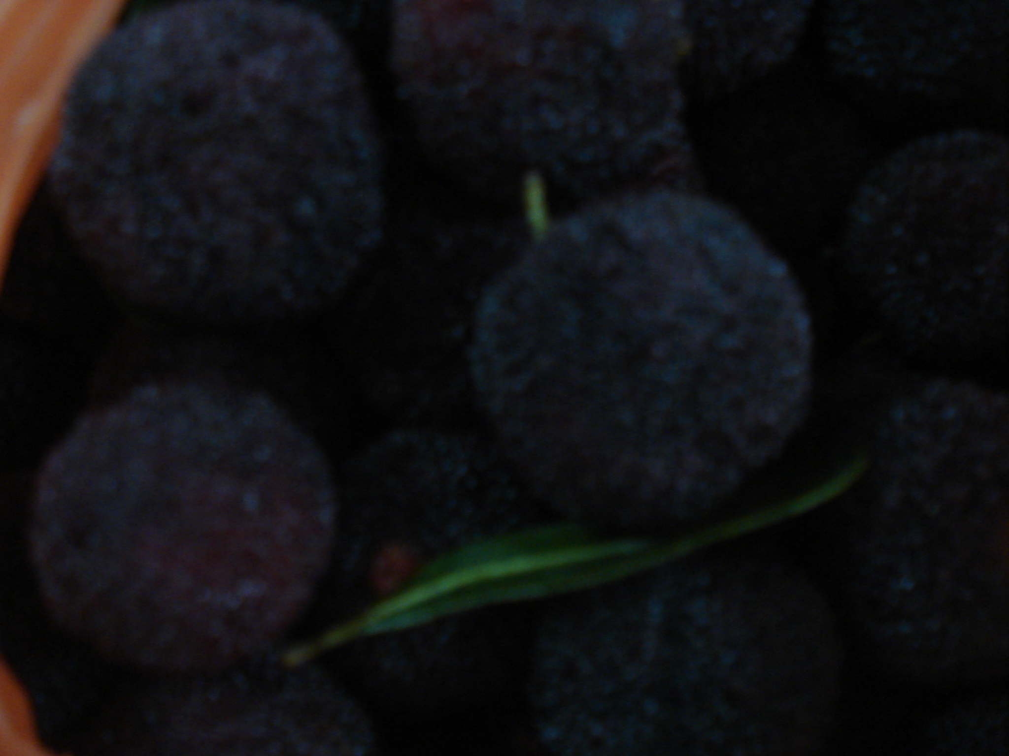 DSC07158.JPG