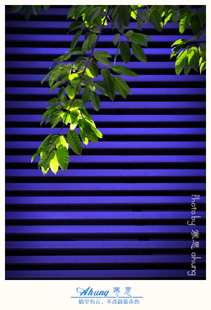 DSC_2436--sc.jpg