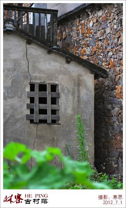 DSC_2405- .jpg