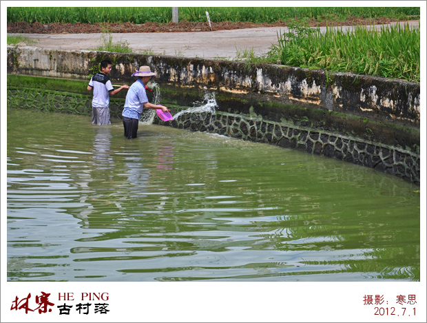 DSC_2572-sc.jpg