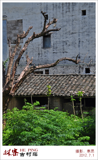 DSC_2587-SC.jpg