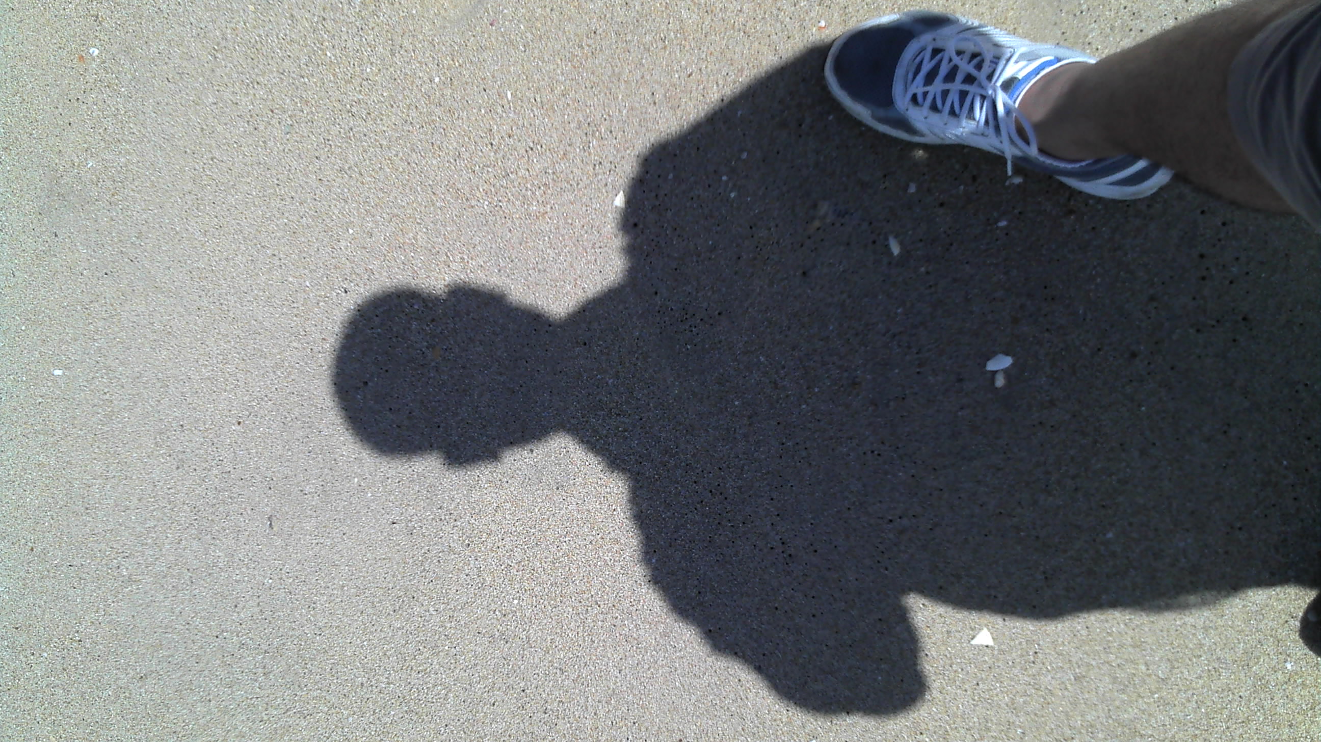 2012-07-06_10-36-49_653.jpg