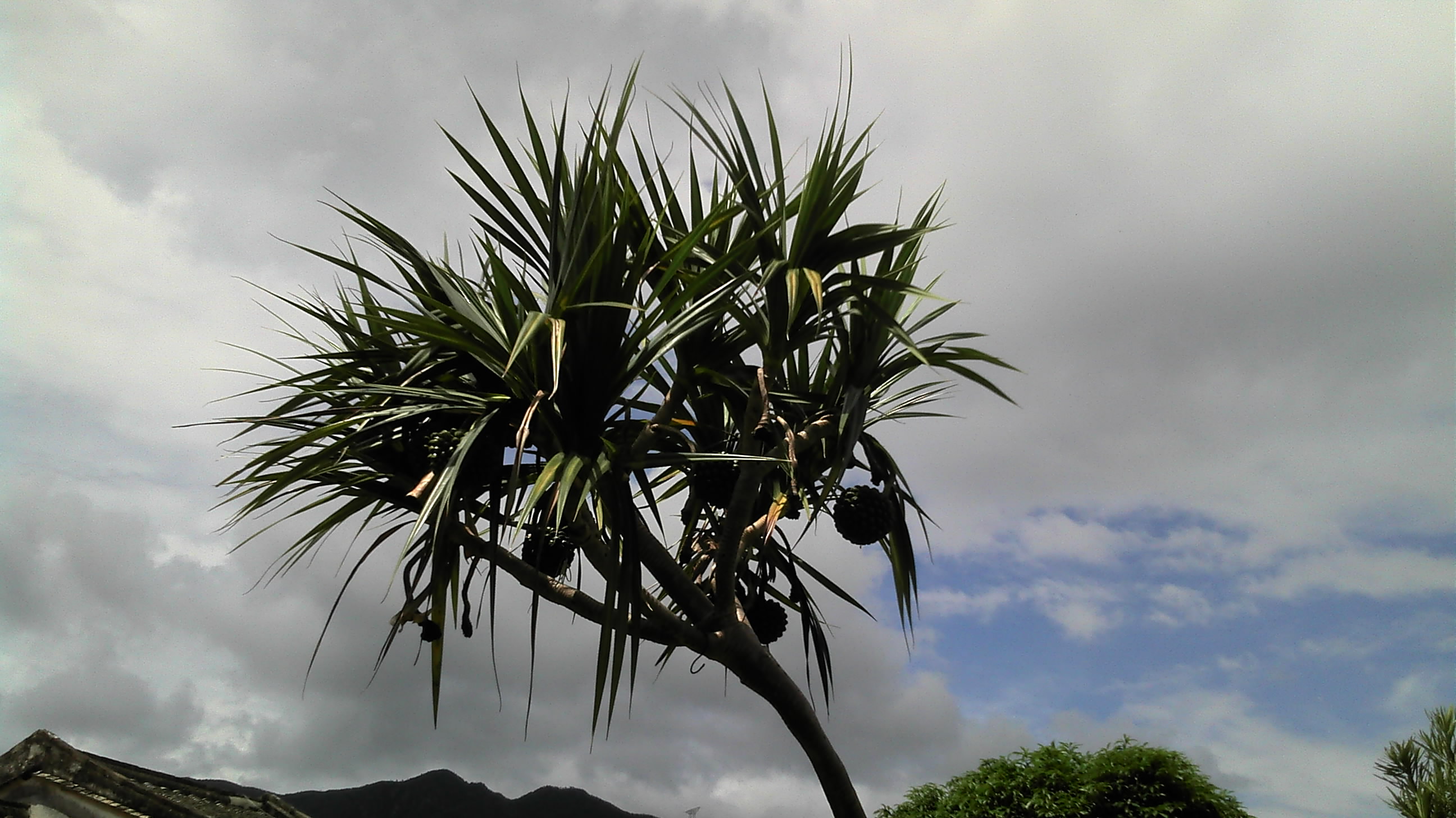 2012-07-06_13-57-57_314.jpg
