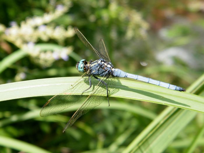 DSCF4734.JPG