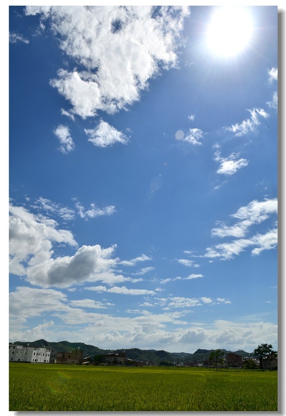 Ŵ33.jpg