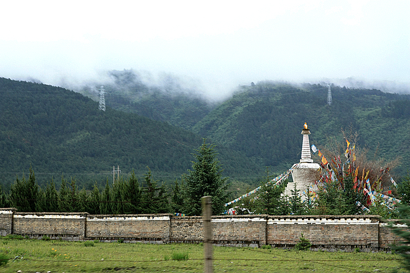 IMG_2136.jpg