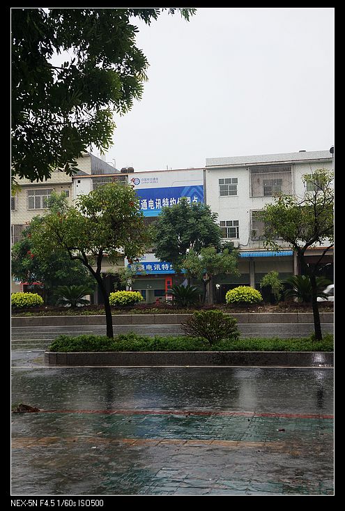 nEO_IMG_DSC01156.jpg