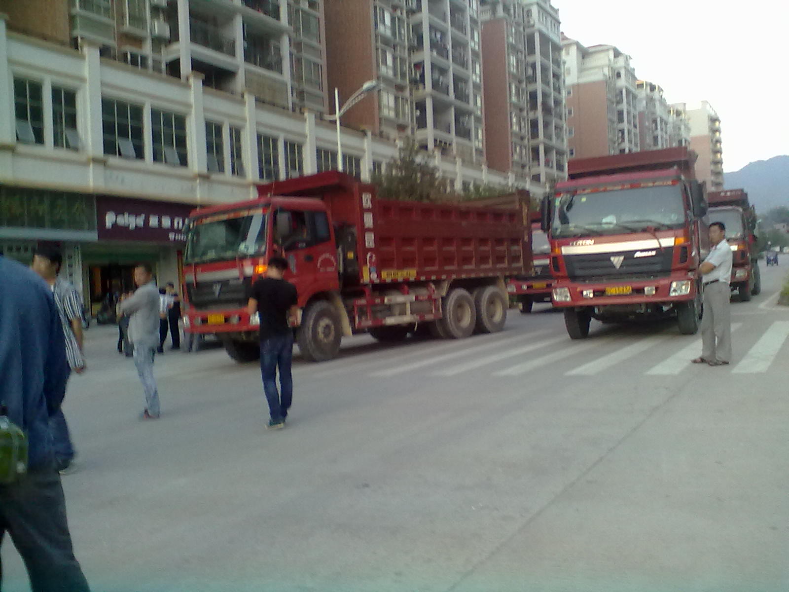 Cy383.jpg