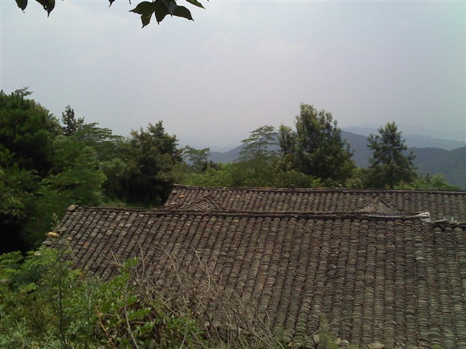 psu_012.jpg
