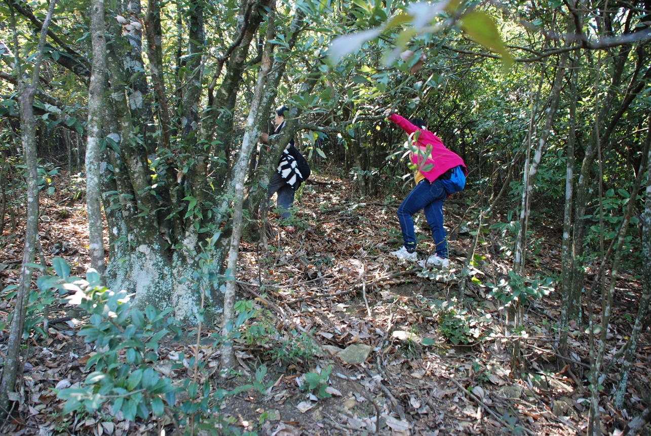 DSC_0111.JPG