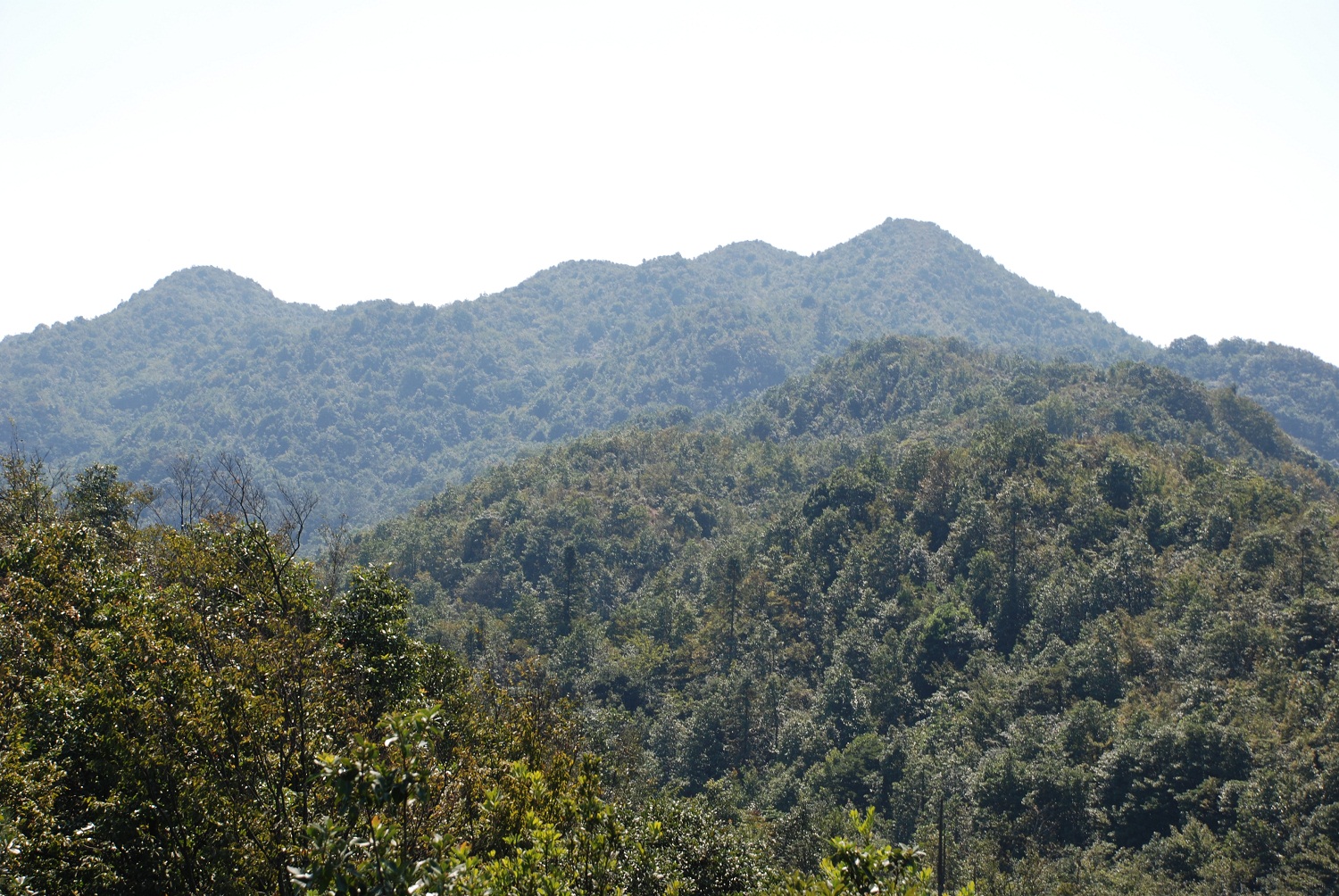DSC_0200.JPG