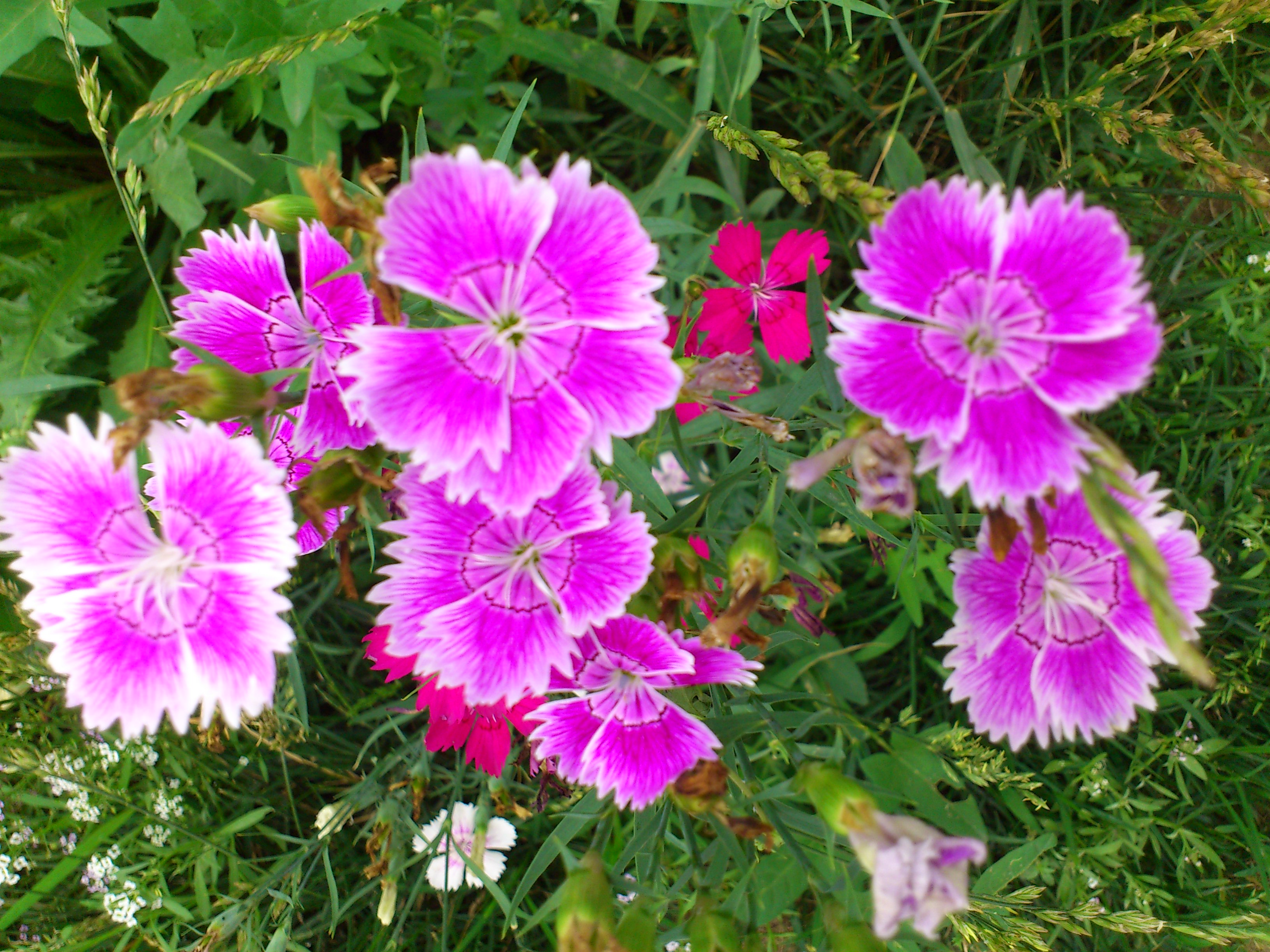 DSC_0073.JPG