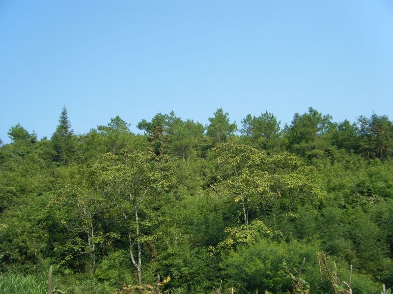 DSCF8628.JPG
